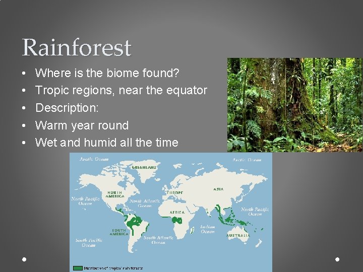 Rainforest • • • Where is the biome found? Tropic regions, near the equator