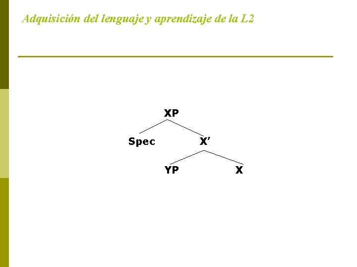 Adquisición del lenguaje y aprendizaje de la L 2 XP Spec X’ YP X