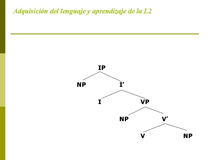 Adquisición del lenguaje y aprendizaje de la L 2 IP NP I’ I VP