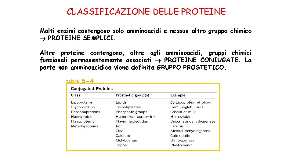 CLASSIFICAZIONE DELLE PROTEINE Molti enzimi contengono solo amminoacidi e nessun altro gruppo chimico PROTEINE