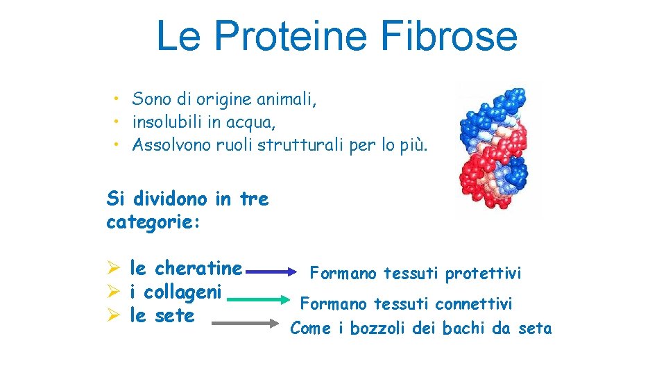 Le Proteine Fibrose • Sono di origine animali, • insolubili in acqua, • Assolvono