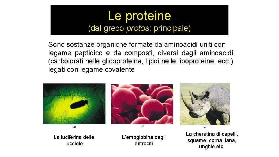 Le proteine (dal greco protos: principale) Sono sostanze organiche formate da aminoacidi uniti con