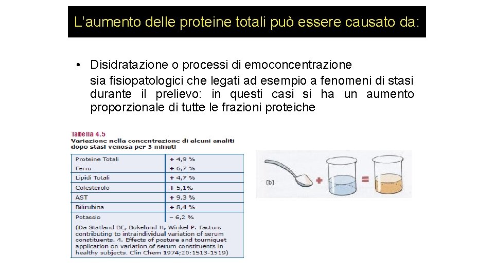 L’aumento delle proteine totali può essere causato da: • Disidratazione o processi di emoconcentrazione