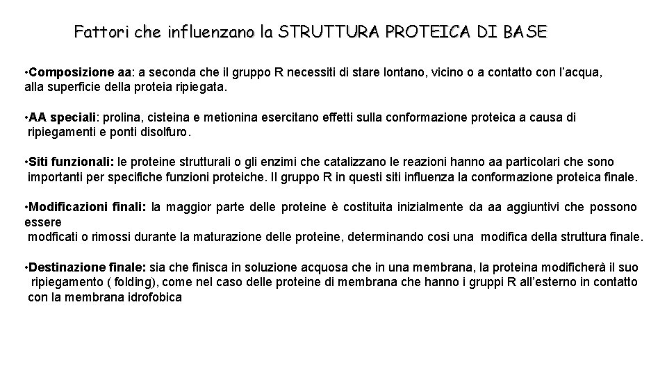 Fattori che influenzano la STRUTTURA PROTEICA DI BASE • Composizione aa: a seconda che