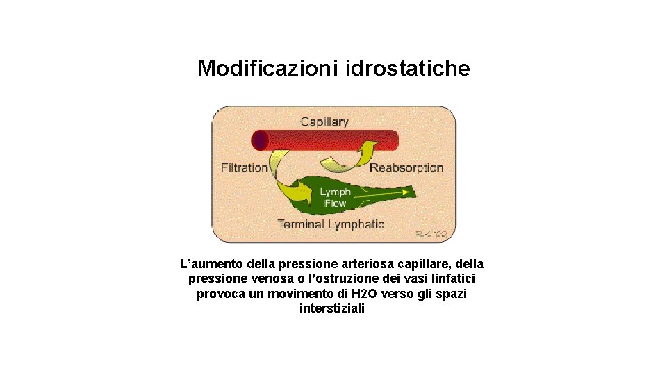 Modificazioni idrostatiche L’aumento della pressione arteriosa capillare, della pressione venosa o l’ostruzione dei vasi