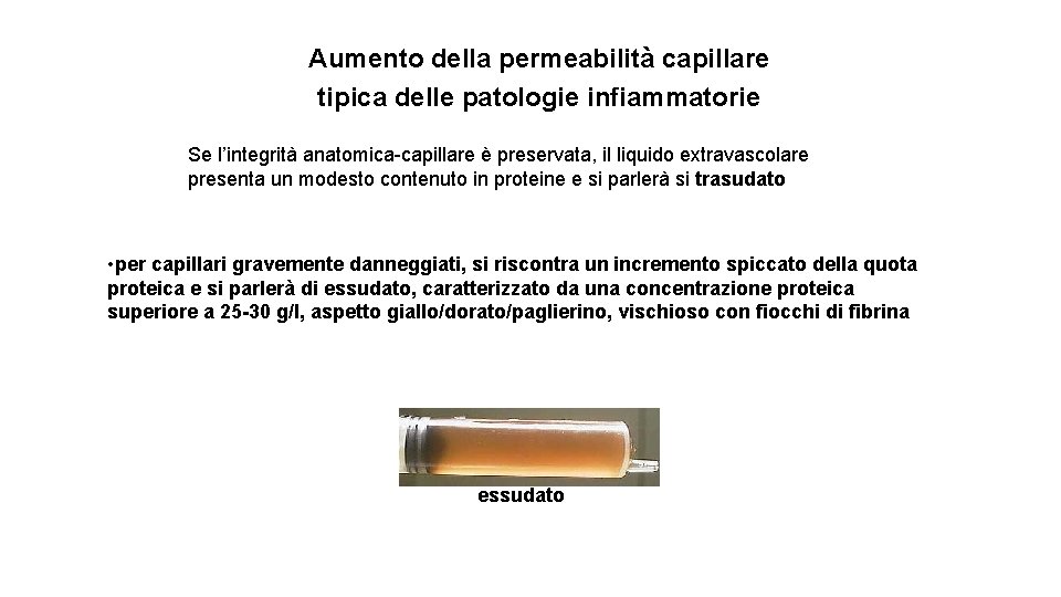 Aumento della permeabilità capillare tipica delle patologie infiammatorie Se l’integrità anatomica-capillare è preservata, il