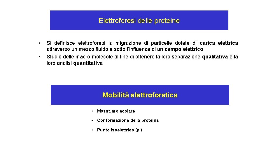 Elettroforesi delle proteine • • Si definisce elettroforesi la migrazione di particelle dotate di
