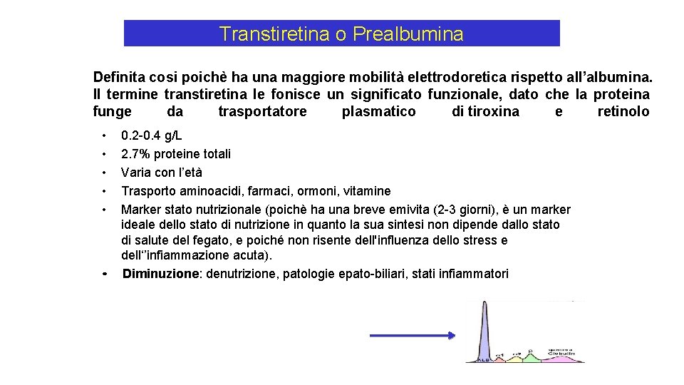 Transtiretina o Prealbumina Definita cosi poichè ha una maggiore mobilità elettrodoretica rispetto all’albumina. Il