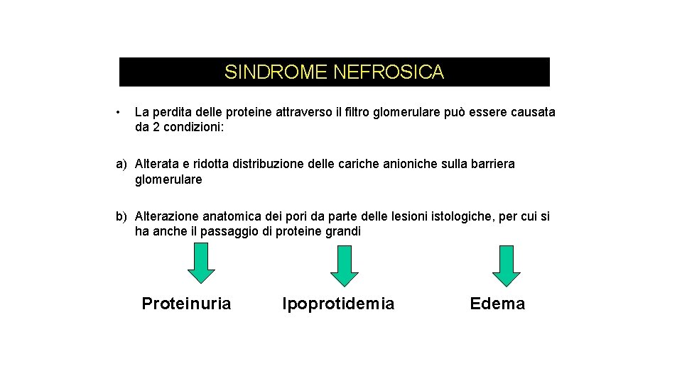 SINDROME NEFROSICA • La perdita delle proteine attraverso il filtro glomerulare può essere causata