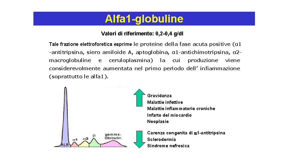 Alfa 1 -globuline Valori di riferimento: 0, 2 -0, 4 g/dl Tale frazione elettroforetica