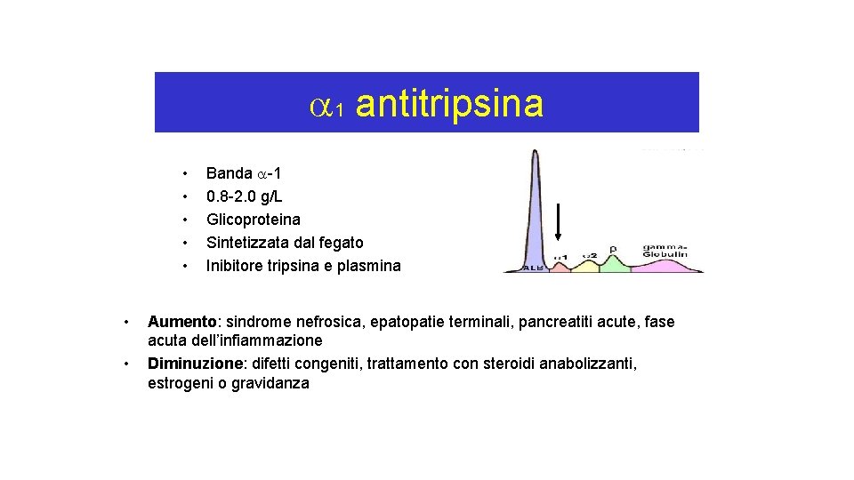  1 antitripsina • • Banda -1 0. 8 -2. 0 g/L Glicoproteina Sintetizzata