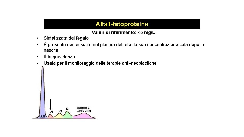 Alfa 1 -fetoproteina Valori di riferimento: <5 mg/L • • Sintetizzata dal fegato È