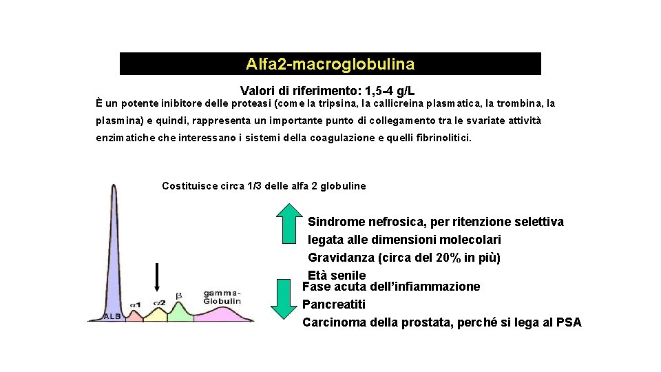 Alfa 2 -macroglobulina Valori di riferimento: 1, 5 -4 g/L È un potente inibitore