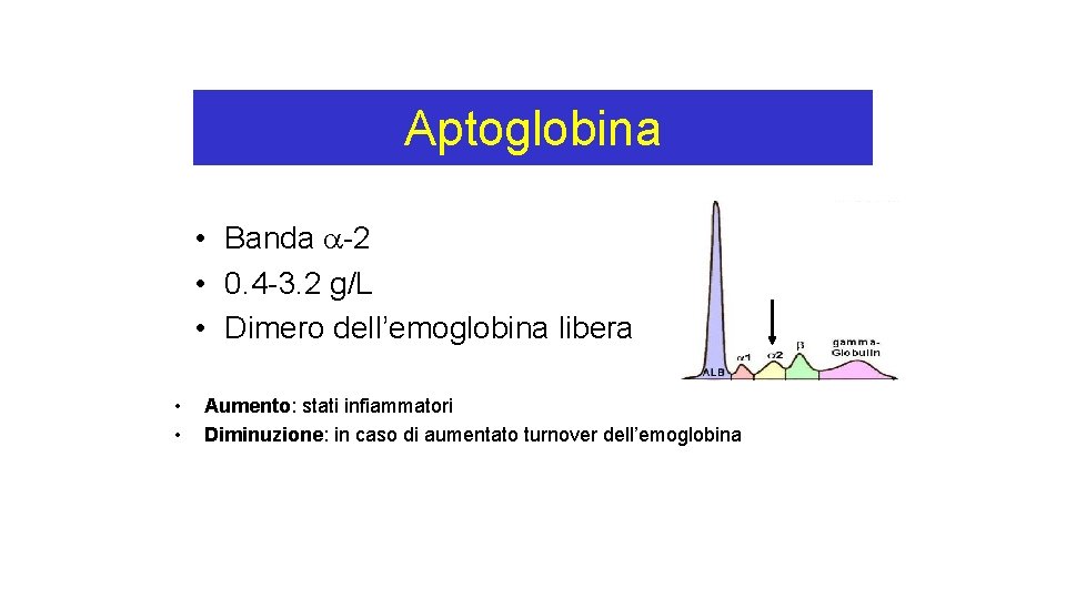 Aptoglobina • Banda -2 • 0. 4 -3. 2 g/L • Dimero dell’emoglobina libera