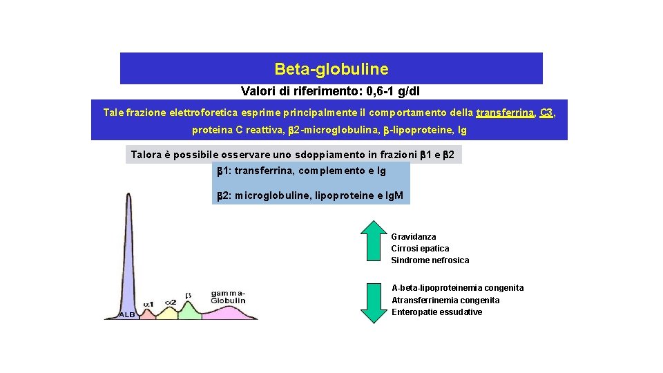 Beta-globuline Valori di riferimento: 0, 6 -1 g/dl Tale frazione elettroforetica esprime principalmente il