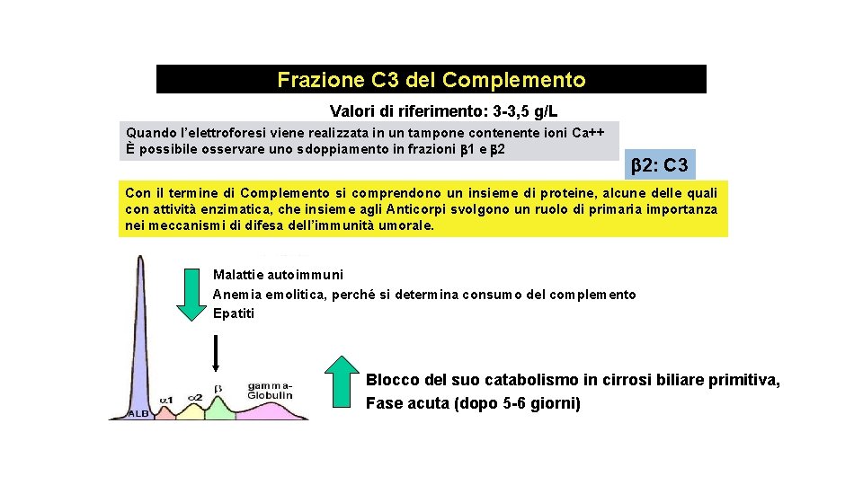 Frazione C 3 del Complemento Valori di riferimento: 3 -3, 5 g/L Quando l’elettroforesi