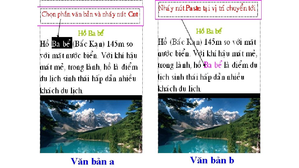 Văn bản a Văn bản b 