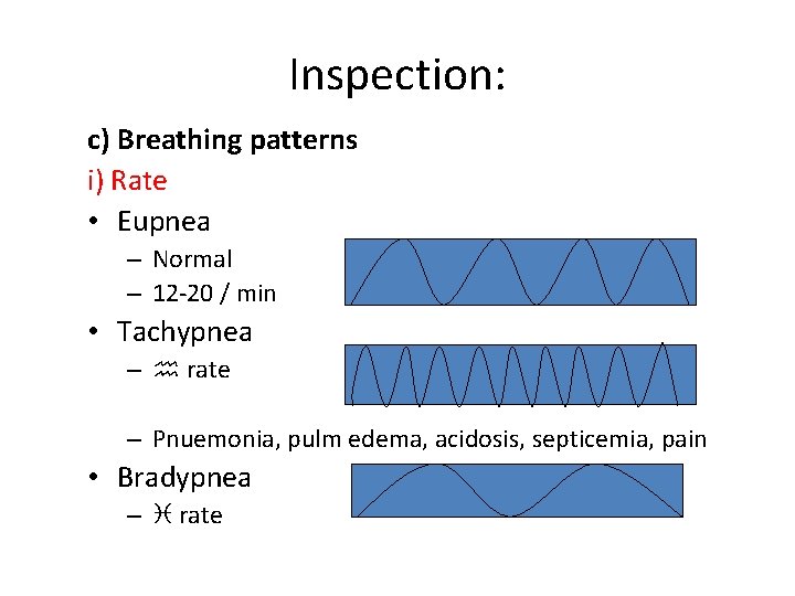 Inspection: c) Breathing patterns i) Rate • Eupnea – Normal – 12 -20 /