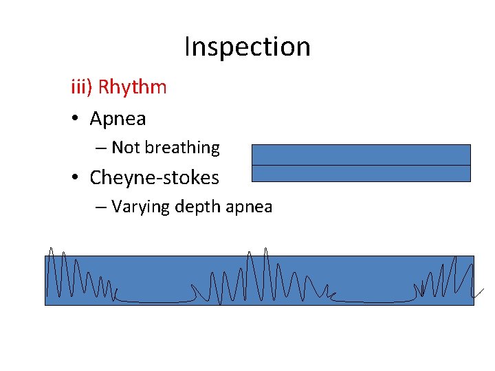 Inspection iii) Rhythm • Apnea – Not breathing • Cheyne-stokes – Varying depth apnea