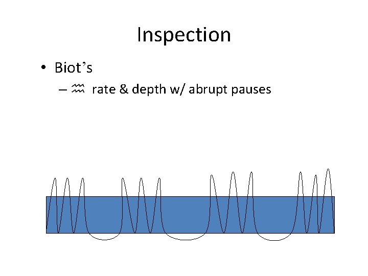 Inspection • Biot’s – h rate & depth w/ abrupt pauses 