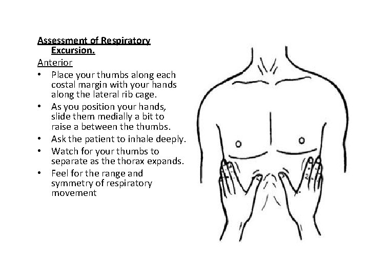Assessment of Respiratory Excursion. Anterior • Place your thumbs along each costal margin with