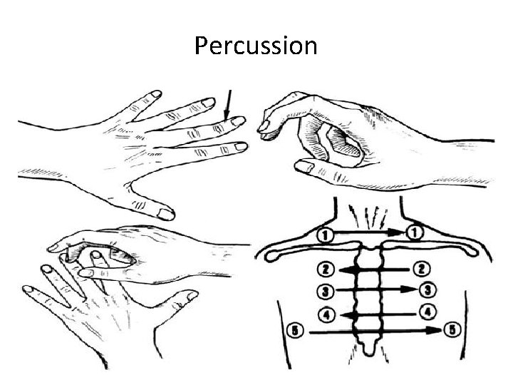 Percussion 