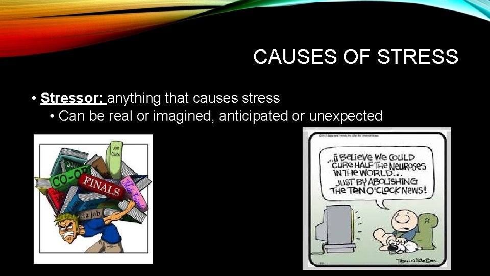 CAUSES OF STRESS • Stressor: anything that causes stress • Can be real or