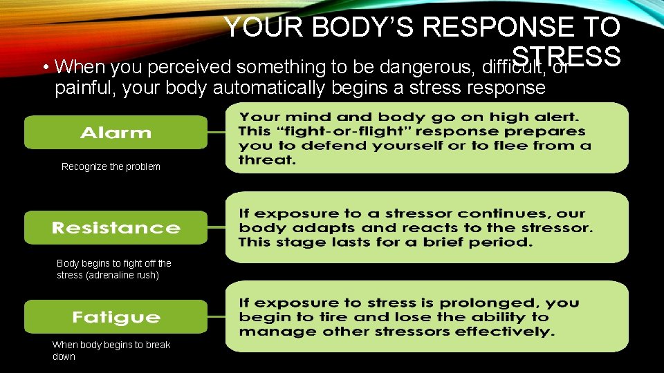 YOUR BODY’S RESPONSE TO STRESS • When you perceived something to be dangerous, difficult,