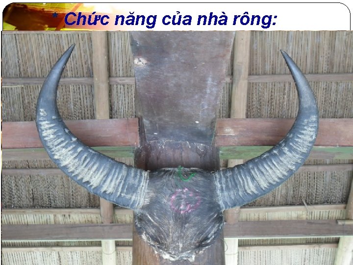 * Chức năng của nhà rông: 