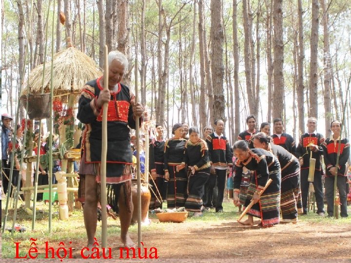 3. Trang phôc và lễ hội b, Lễ hội: -Lễ hội thường tổ chøc