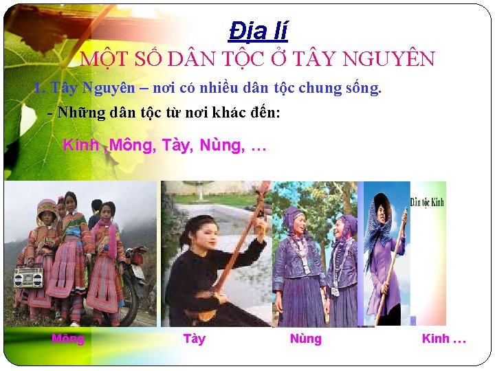 Địa lí MỘT SỐ D N TỘC Ở T Y NGUYÊN 1. Tây Nguyên