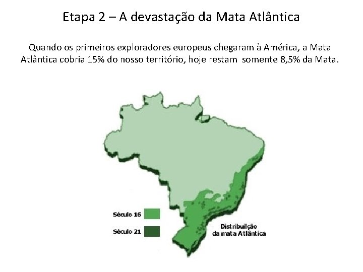 Etapa 2 – A devastação da Mata Atlântica Quando os primeiros exploradores europeus chegaram Etapa 2 – A devastação da Mata Atlântica Quando os primeiros exploradores europeus chegaram