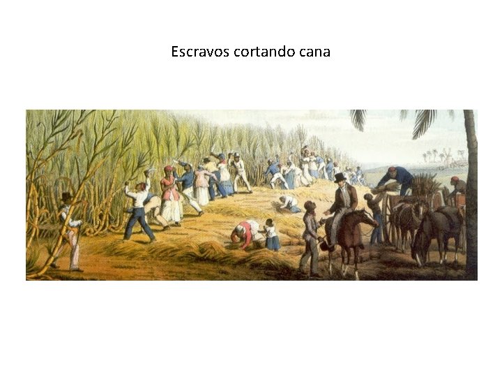 Escravos cortando cana Escravos cortando cana