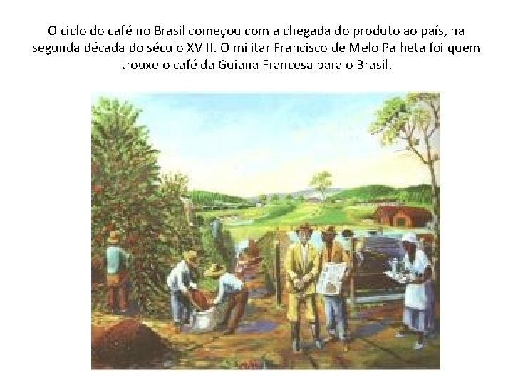 O ciclo do café no Brasil começou com a chegada do produto ao país, O ciclo do café no Brasil começou com a chegada do produto ao país,