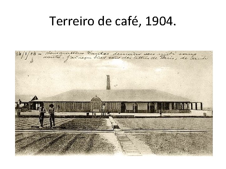 Terreiro de café, 1904. Terreiro de café, 1904.