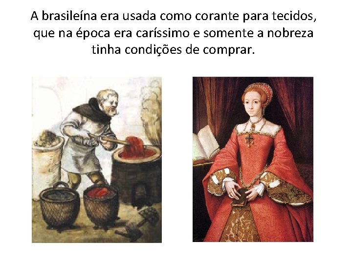 A brasileína era usada como corante para tecidos, que na época era caríssimo e A brasileína era usada como corante para tecidos, que na época era caríssimo e
