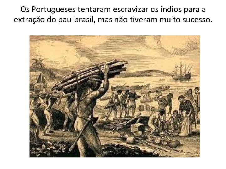 Os Portugueses tentaram escravizar os índios para a extração do pau-brasil, mas não tiveram Os Portugueses tentaram escravizar os índios para a extração do pau-brasil, mas não tiveram