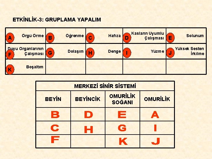 ETKİNLİK-3: GRUPLAMA YAPALIM A Örgü Örme Duyu Organlarının Çalışması F K B Öğrenme G