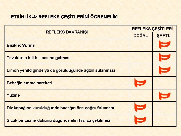 ETKİNLİK-4: REFLEKS ÇEŞİTLERİNİ ÖĞRENELİM REFLEKS DAVRANIŞI Bisiklet Sürme Tavukların bili sesine gelmesi Limon yenildiğinde