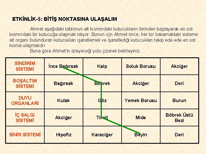 ETKİNLİK-5: BİTİŞ NOKTASINA ULAŞALIM Ahmet aşağıdaki tablonun alt kısmındaki kutucukların birinden başlayarak en üst