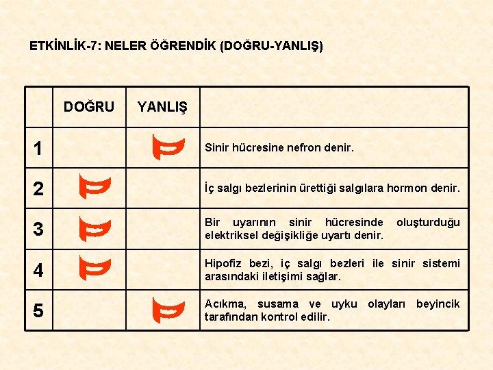 ETKİNLİK-7: NELER ÖĞRENDİK (DOĞRU-YANLIŞ) DOĞRU YANLIŞ 1 Sinir hücresine nefron denir. 2 İç salgı