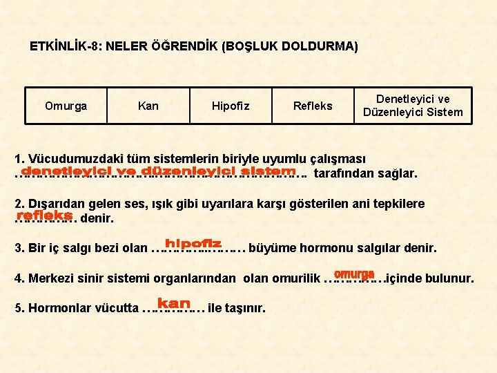 ETKİNLİK-8: NELER ÖĞRENDİK (BOŞLUK DOLDURMA) Omurga Kan Hipofiz Refleks Denetleyici ve Düzenleyici Sistem 1.