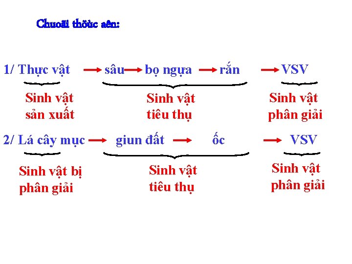 Chuoãi thöùc aên: 1/ Thực vật Sinh vật sản xuất 2/ Lá cây mục