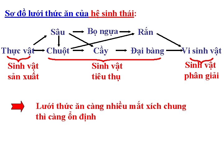 Sơ đồ lưới thức ăn của hệ sinh thái: Thực vật Sinh vật sản