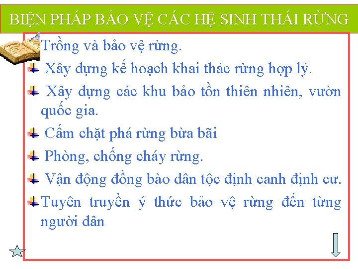 BIỆN PHÁP BẢO VỆ CÁC HỆ SINH THÁI RỪNG Trồng và bảo vệ rừng.