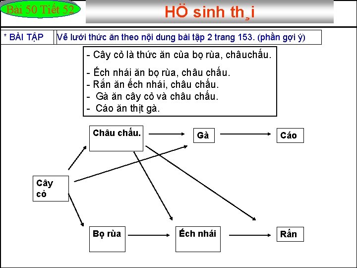 Bài 50 Tiết 52 * BÀI TẬP HÖ sinh th¸i Vẽ lưới thức ăn