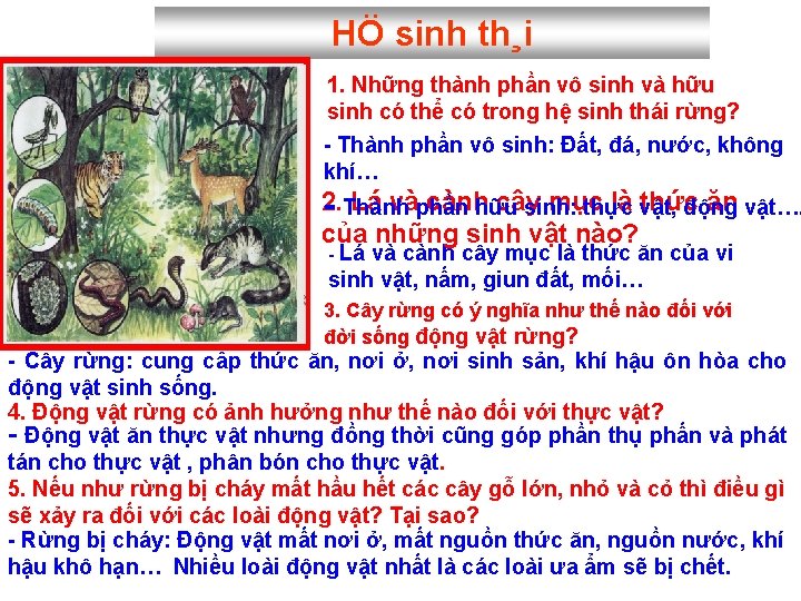 HÖ sinh th¸i 1. Những thành phần vô sinh và hữu sinh có thể