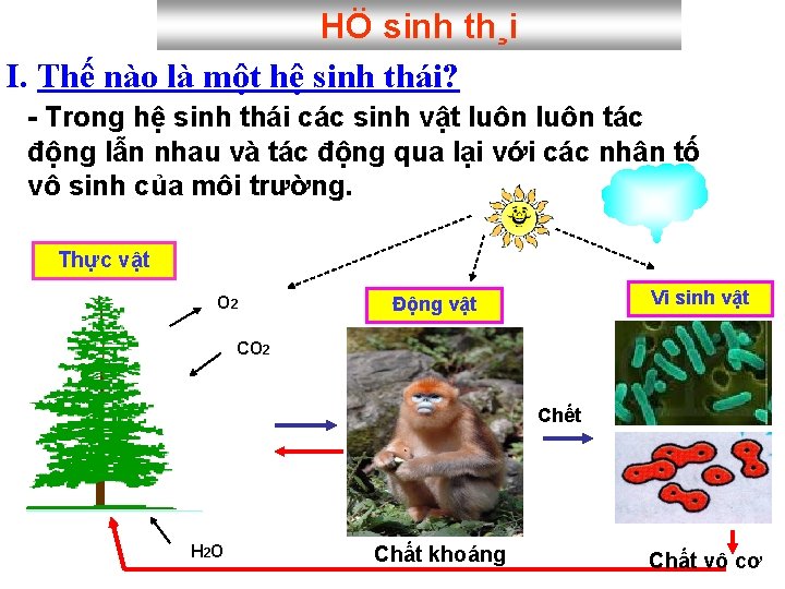 HÖ sinh th¸i I. Thế nào là một hệ sinh thái? - Trong hệ