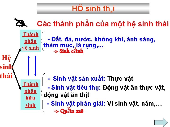 Hệ sinh thái HÖ sinh th¸i Các thành phần của một hệ sinh thái