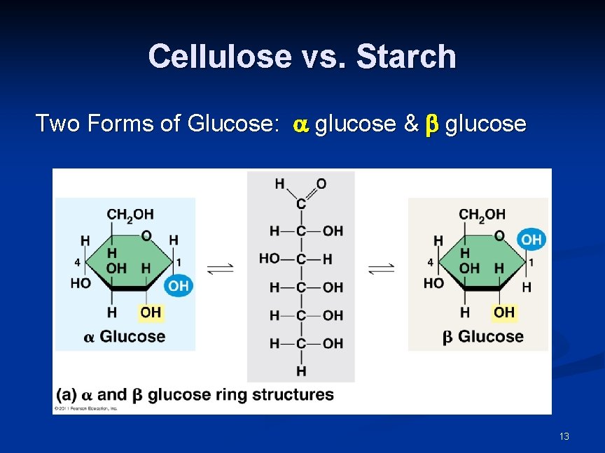 Cellulose vs. Starch Two Forms of Glucose: glucose & glucose 13 Cellulose vs. Starch Two Forms of Glucose: glucose & glucose 13